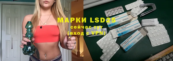 стаф Абинск