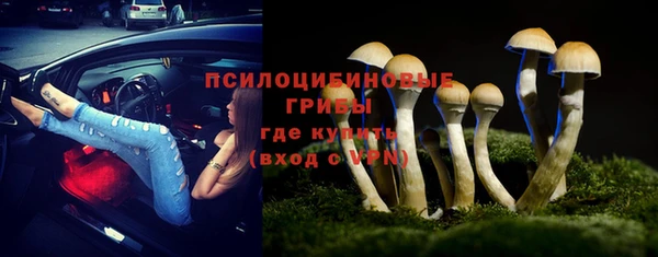 стаф Абинск