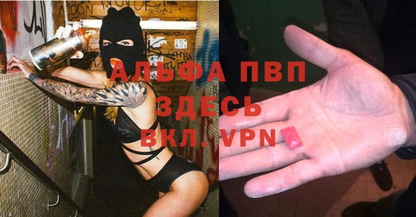 стаф Абинск