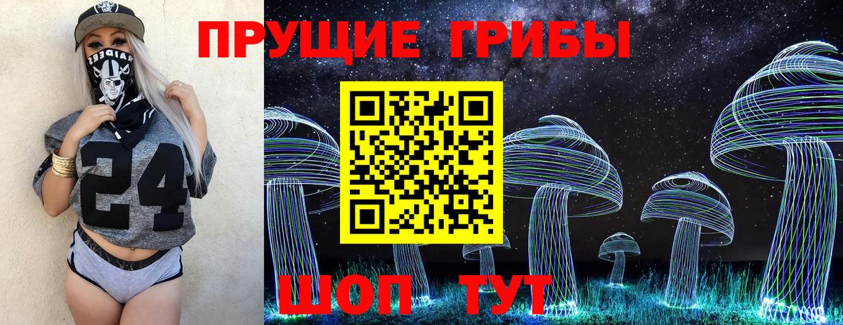 Псилоцибиновые грибы мухоморы  Вход с VPN  Заводоуковск  купить закладку  Галлюциногенные грибы мухоморы 