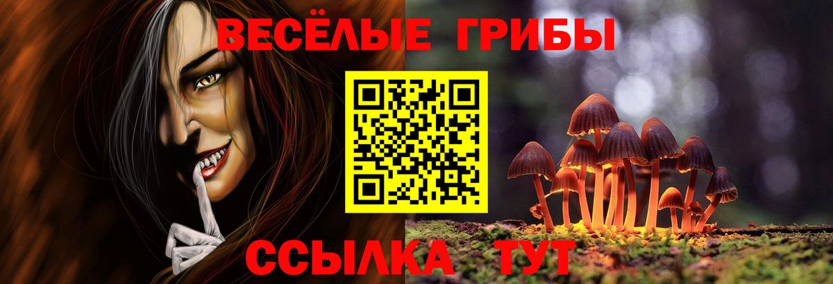 Псилоцибиновые грибы MAGIC MUSHROOMS Заводоуковск