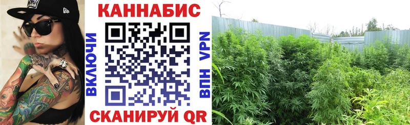 Бошки марихуана индика  Заводоуковск 